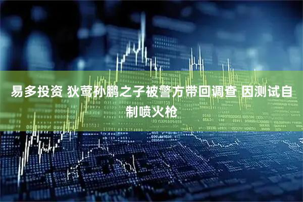 易多投资 狄莺孙鹏之子被警方带回调查 因测试自制喷火枪